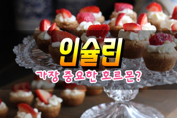  혈당을 조절하는 인슐린 호르몬 알아보기