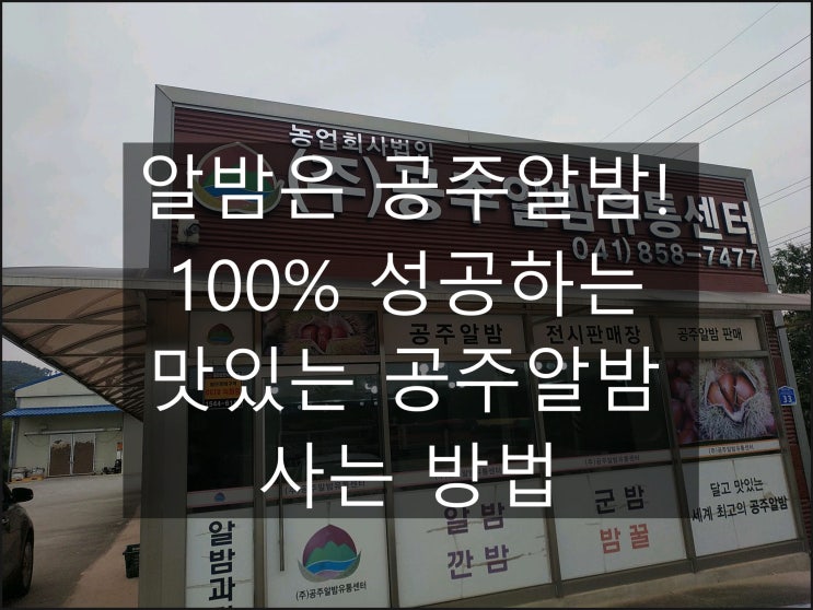 알밤은 공주알밤!_가짜 공주알밤과 비교하는 방법