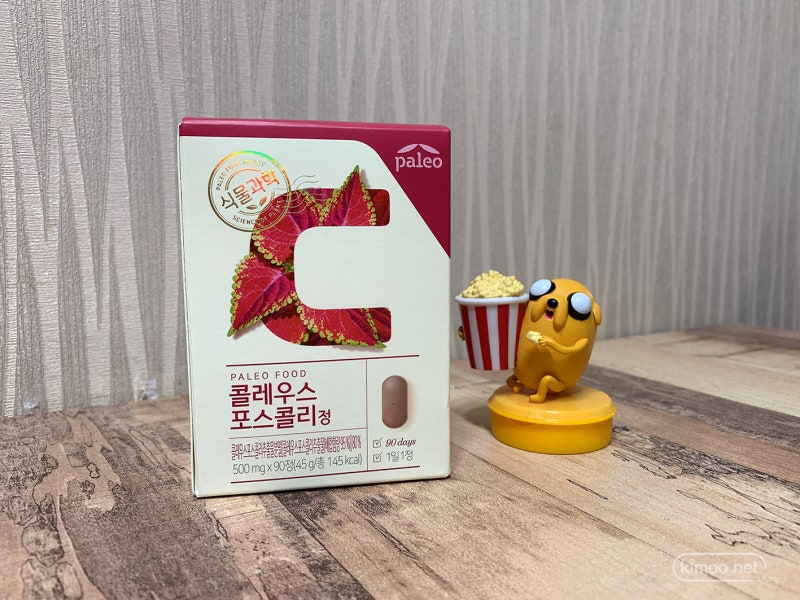 팔레오 코레우스 포스콜리 자물쇠가 필요한 이유 팔레오 코레우스 포스콜리 자물쇠가 필요한 이유