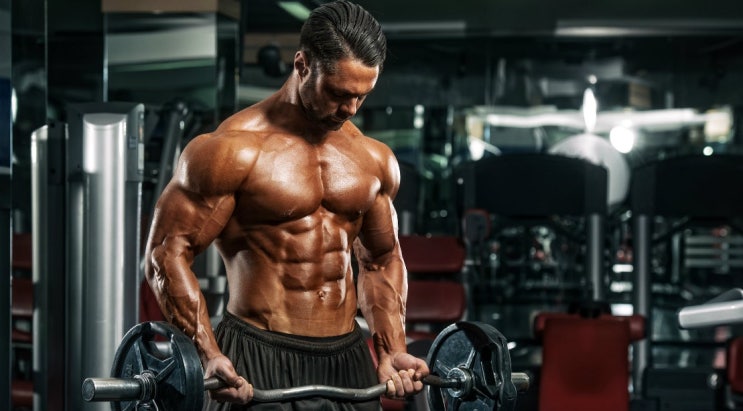  린매스업 어떻게 해야 할까? Lean mass up 총정리