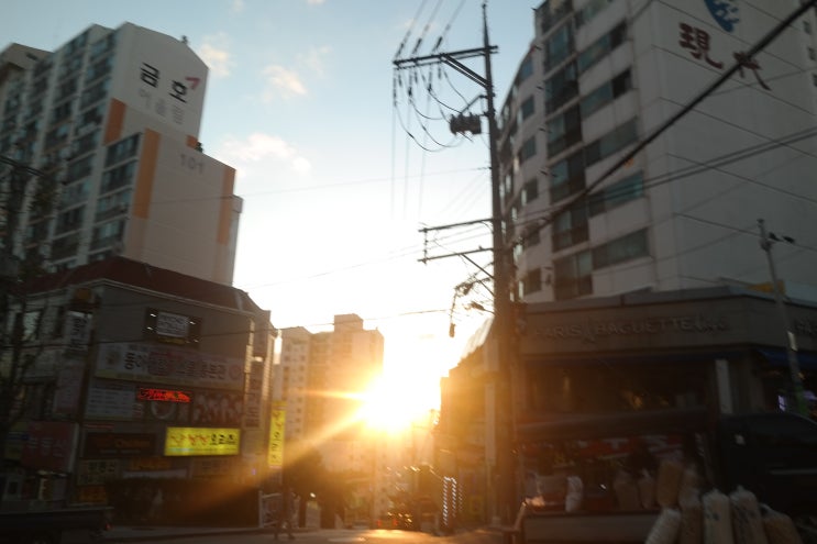  평화로운 월요일 저녁을 맞이합니다.