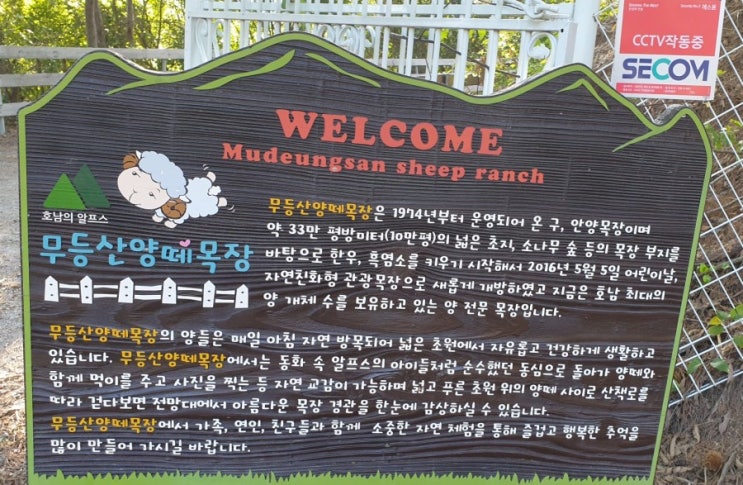  광주 근교 나들이로 무등산 양떼목장 다녀왔어요