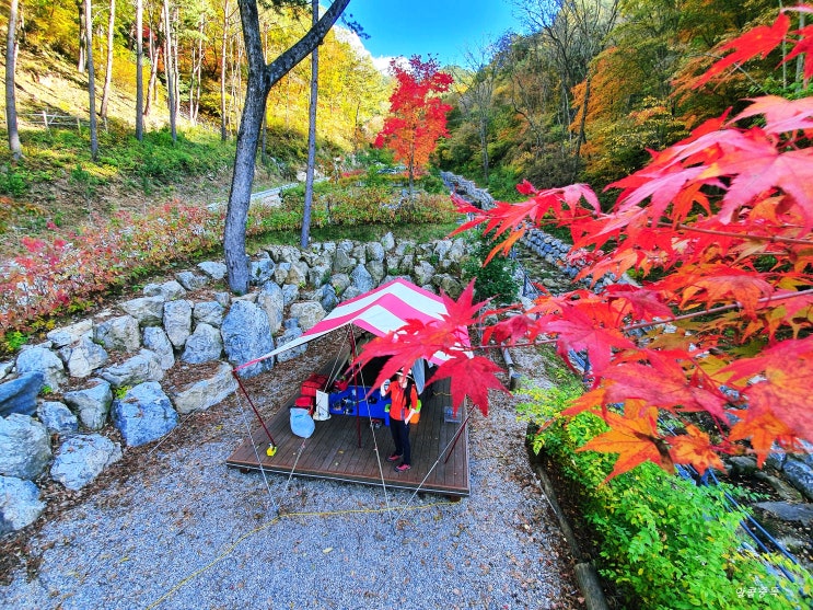  하추자연휴양림(19.10.19~19.10.20)