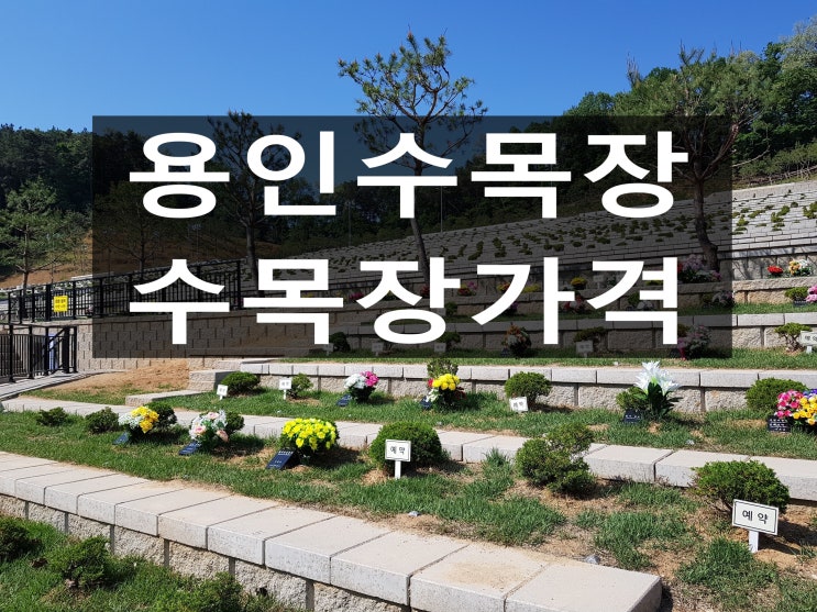  용인 수목장 가격비교 꼭 필요합니다.