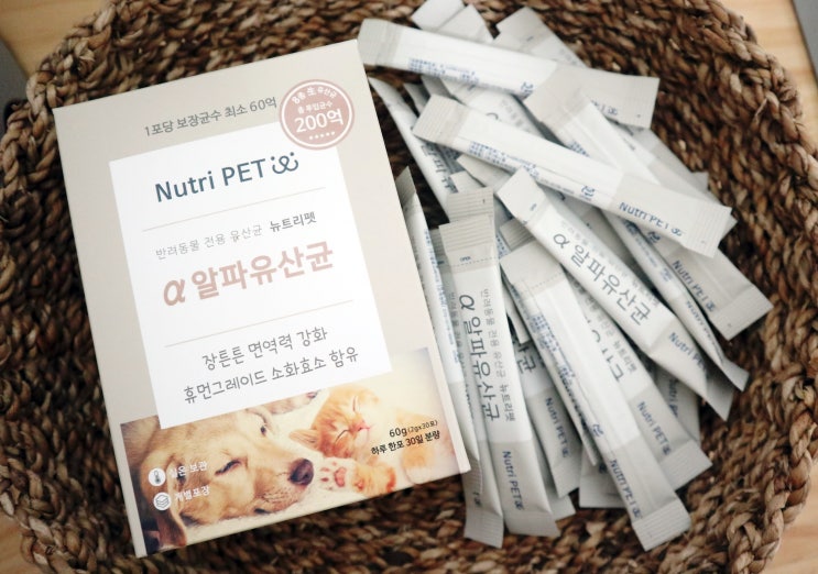  고양이유산균추천 :: 기호성 좋은 뉴트리펫 알파유산균