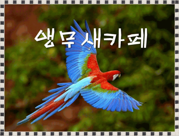  앵무새 카페 창업준비를 위한 필독!! 창업전 한번 읽어보시면 큰 도움이 되는 글~