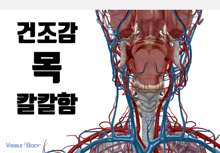 가을 겨울되면서 목이 칼칼하고 건조해진다면[영통 새움한의원]