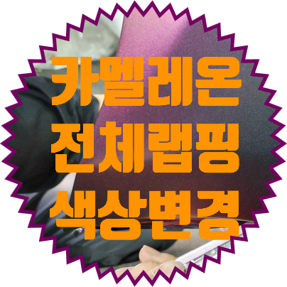  카멜레온 랩핑 렉서스 RC350 색깔이변하는 자동차로 변신.
