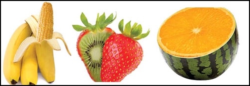  유전자 조작식품 GMO 기술로 생산된 농산물은?