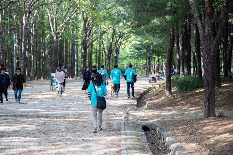 제 1회 [반려견과 서울숲 걷기] 캠페인