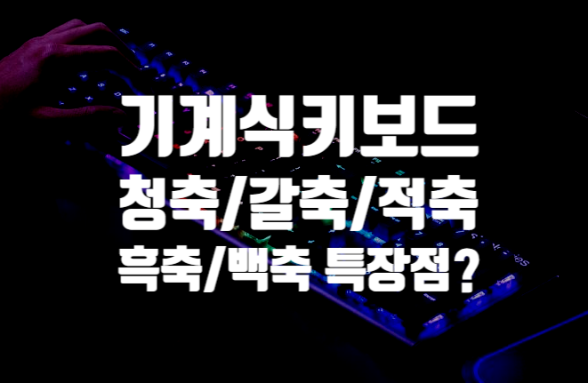  기계식 키보드란? (청축/적축/갈축/흑축/백축)