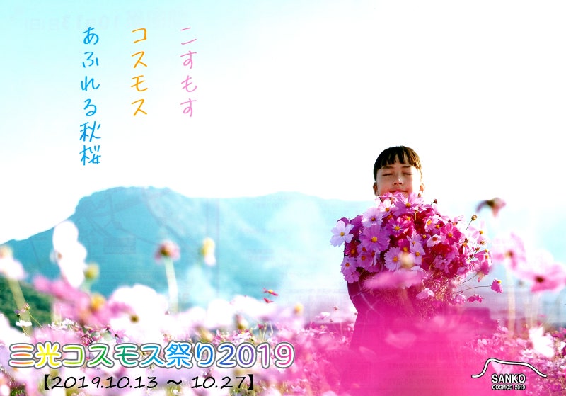 三光コスモス祭り 19 산코 코스모스 축제 네이버 블로그