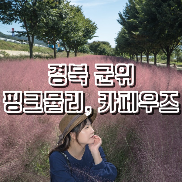 [경북 군위 여행] 군위체육공원 핑크뮬리와 팔공산카페 카페우즈