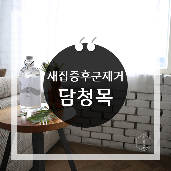  새집증후군 냄새 제거 할 땐 담청목!