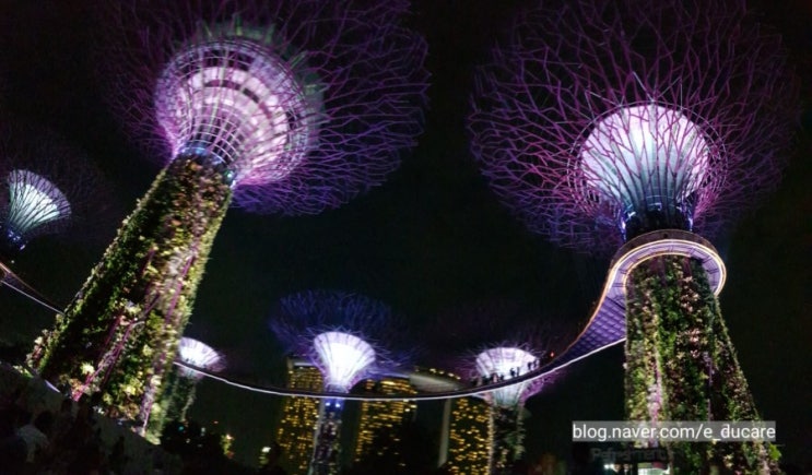 싱가포르 가든스바이더베이 누워보는 슈퍼트리쇼 + 꿀팁
