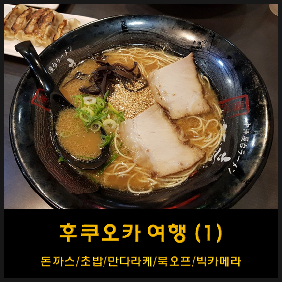  이시국에 가는 후쿠오카 자유 여행 -1 (텐진/돈까스와카바/효탄스시/북오프/빅카메라/만다라케/라멘)