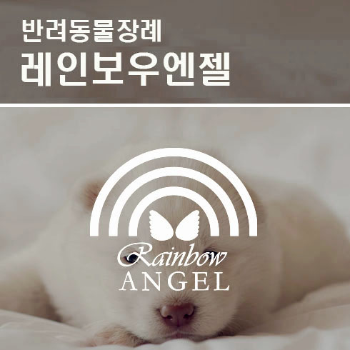  서울 수원 용인 안양 성남 구리 남양주 반려동물장례 반려견장례식장 제대로 선택하려면?
