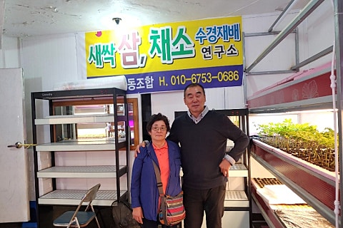 열우물새싹인삼 이미지