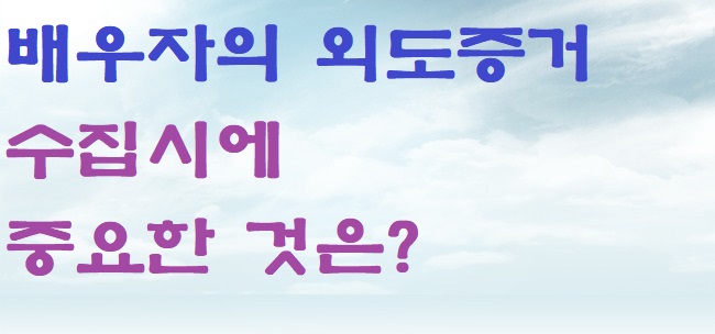  바람난 남편 가출 남편 아내외도증거 간통증거 해결