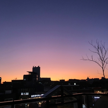  [일상]홍대 픽싸, 연남 루프탑, 카페문나잇, 까치산 맘스터치