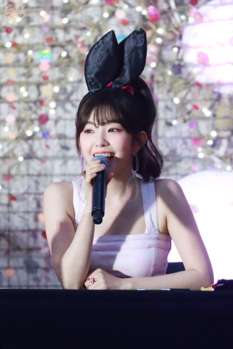 레드벨벳 아이린 토끼머리띠
