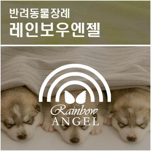  [구리, 남양주, 하남, 광주, 여주, 이천] 강아지화장,반려견화장,애견화장,애견장례업체, 반려견장례업체, 반려동물화장장의 합리적 선택 방법은?