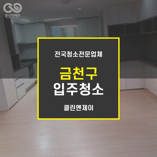  금천구입주청소 이번에 잘 선택했다.