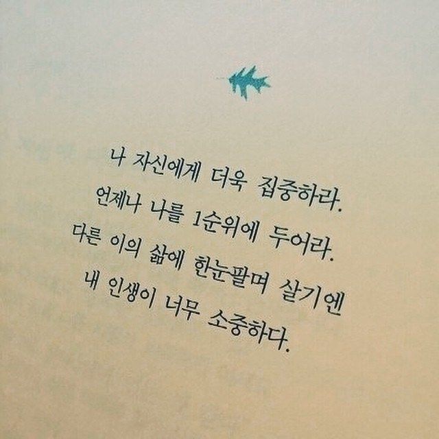  책 속의 좋은 구절 사진 모아보기