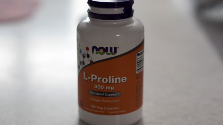 Now food L-Proline 500mg 복용 후기