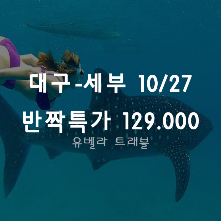  [특가][대구출발] 세부 3박5일 특가 패키지 자유여행 제주항공