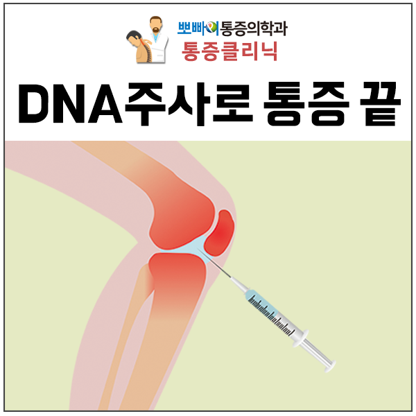 목동 정형외과 DNA주사로 통증 끝!
