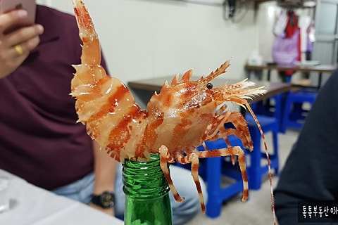 속초간장꽃새우 이미지