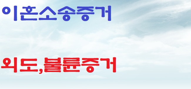  바람난 아내뒷조사 이혼소송증거 외도증거.