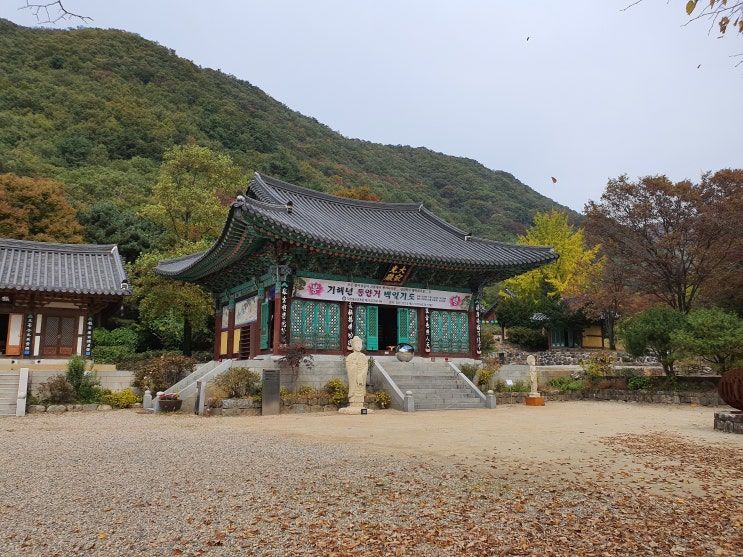  깊어가는 가을 서리 내리는 상강 양평 사나사 산사를 거닐다