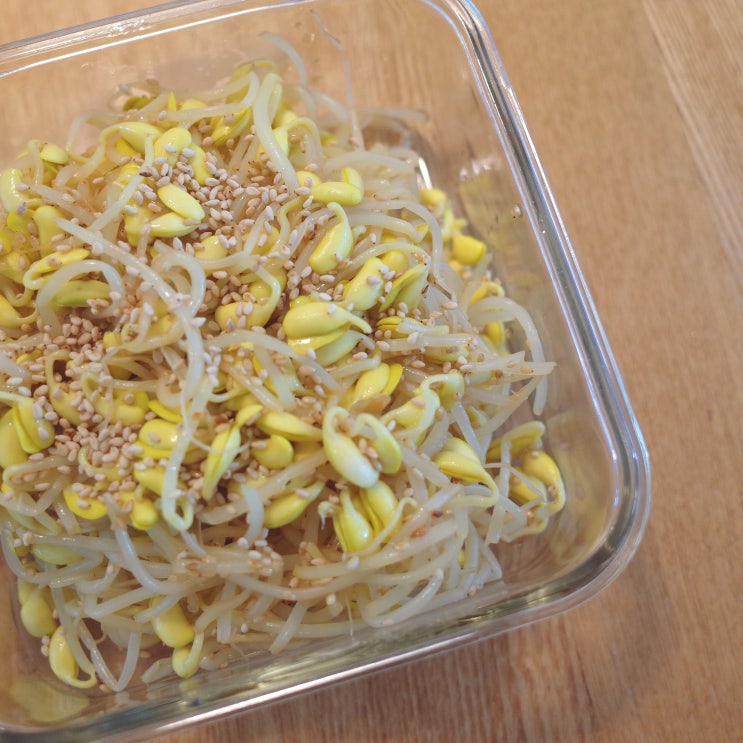  아이반찬만들기 콩나물무침