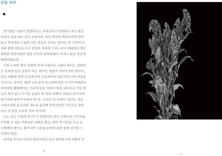  내지 디자인
