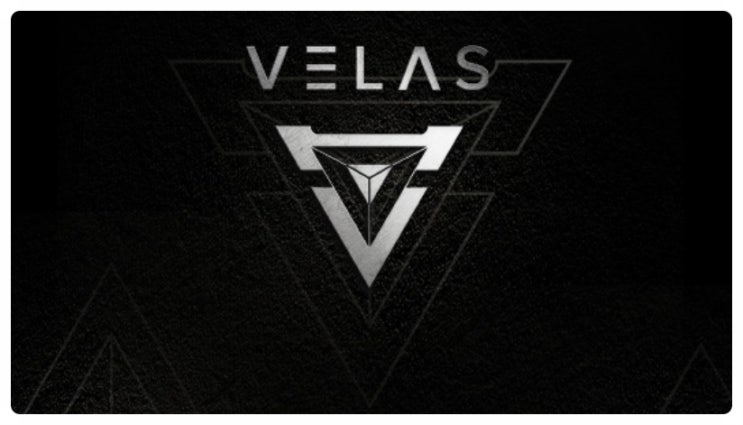  벨라스 코인 AI DPOS 블록체인 플랫폼 VLX
