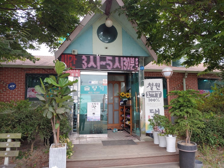  강원도 철원맛집 솔향기에서 손만두버섯전골 끝내줘요