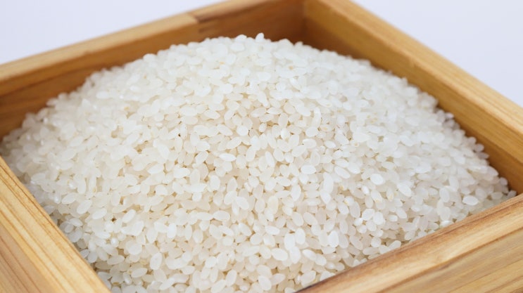  추수의 계절, 최상의 밥맛을 결정하는 좋은 쌀의 조건은?