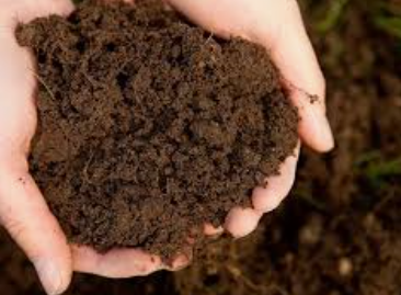 샘플 파쇄 적용 사례: 인공토양 (Artificial Soil)