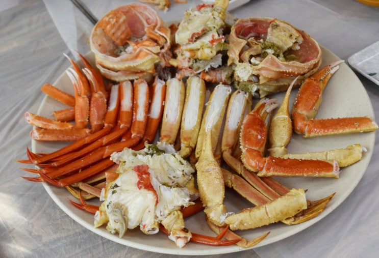  포항 구룡포 맛집 인정하는 횟집 여기뿐