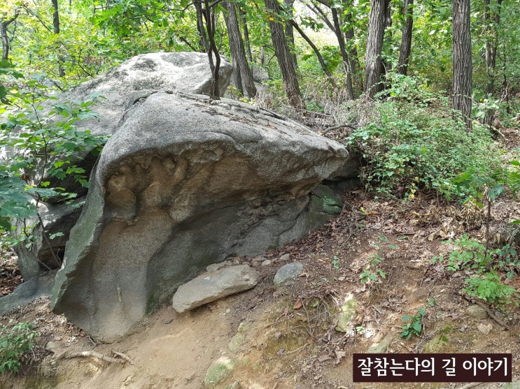  서울둘레길 1코스 수락·불암산코스를 가다