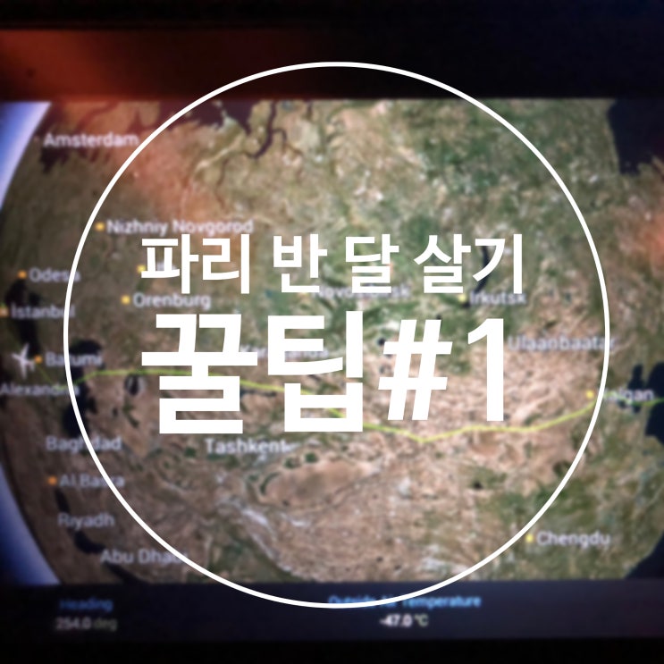  [제이미 랜선여행] 파리 반 달 살기 리얼꿀팁 #1 비행기, 숙소 예약 (후기&생생정보)