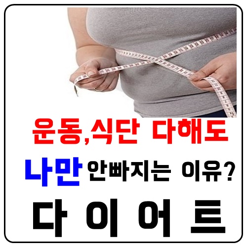 효과빠른다이어트를 위해서 간 건강을 체크
