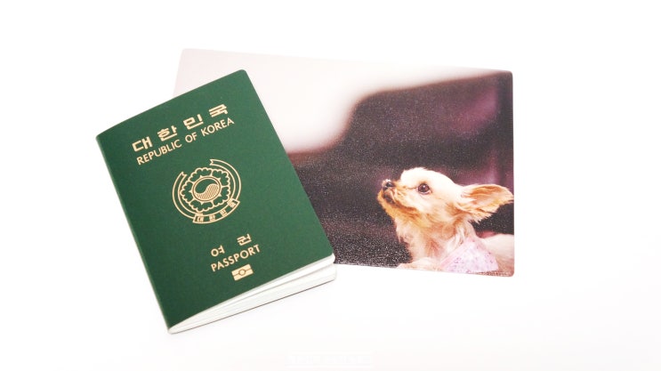 내가 원하는 사진으로 여권케이스 만들기 폰아티스트