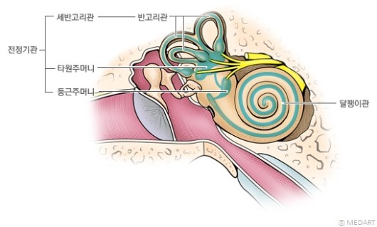  모든 감각의 기준점이 되는 전정감각