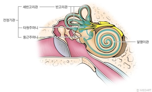 모든 감각의 기준점이 되는 전정감각