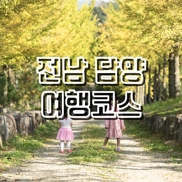  전남 담양 여행코스(은행나무길, 핑크뮬리,국밥맛집 창평국밥)