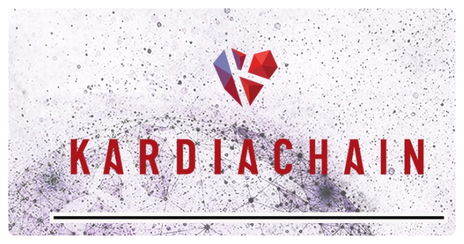 카르디아체인 (Kardiachain) 듀얼노드 살펴보기