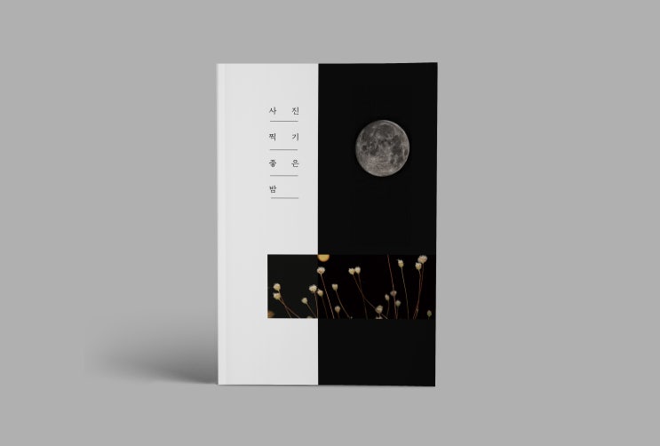  사진 찍기 좋은 밤